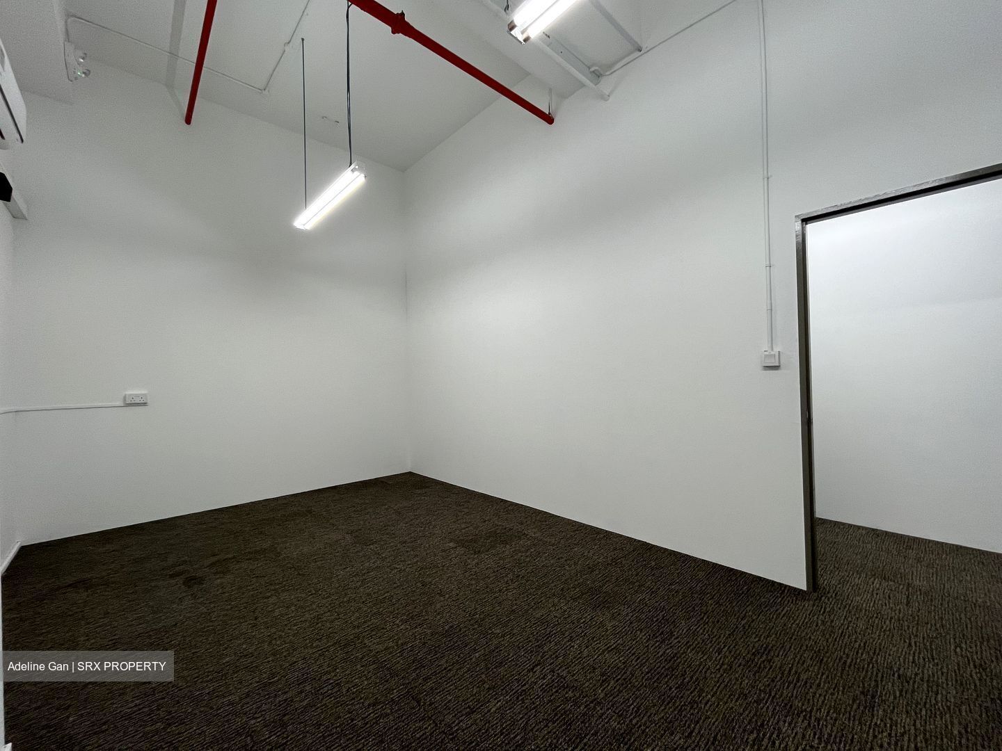 Primz Bizhub (D25), Factory #553959231